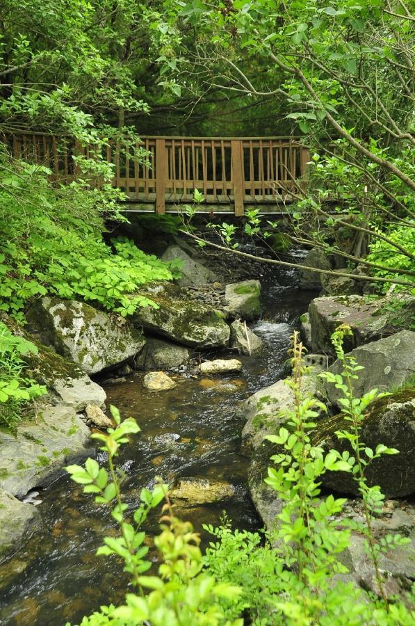 Stay Berkshires Уильямстаун Экстерьер фото